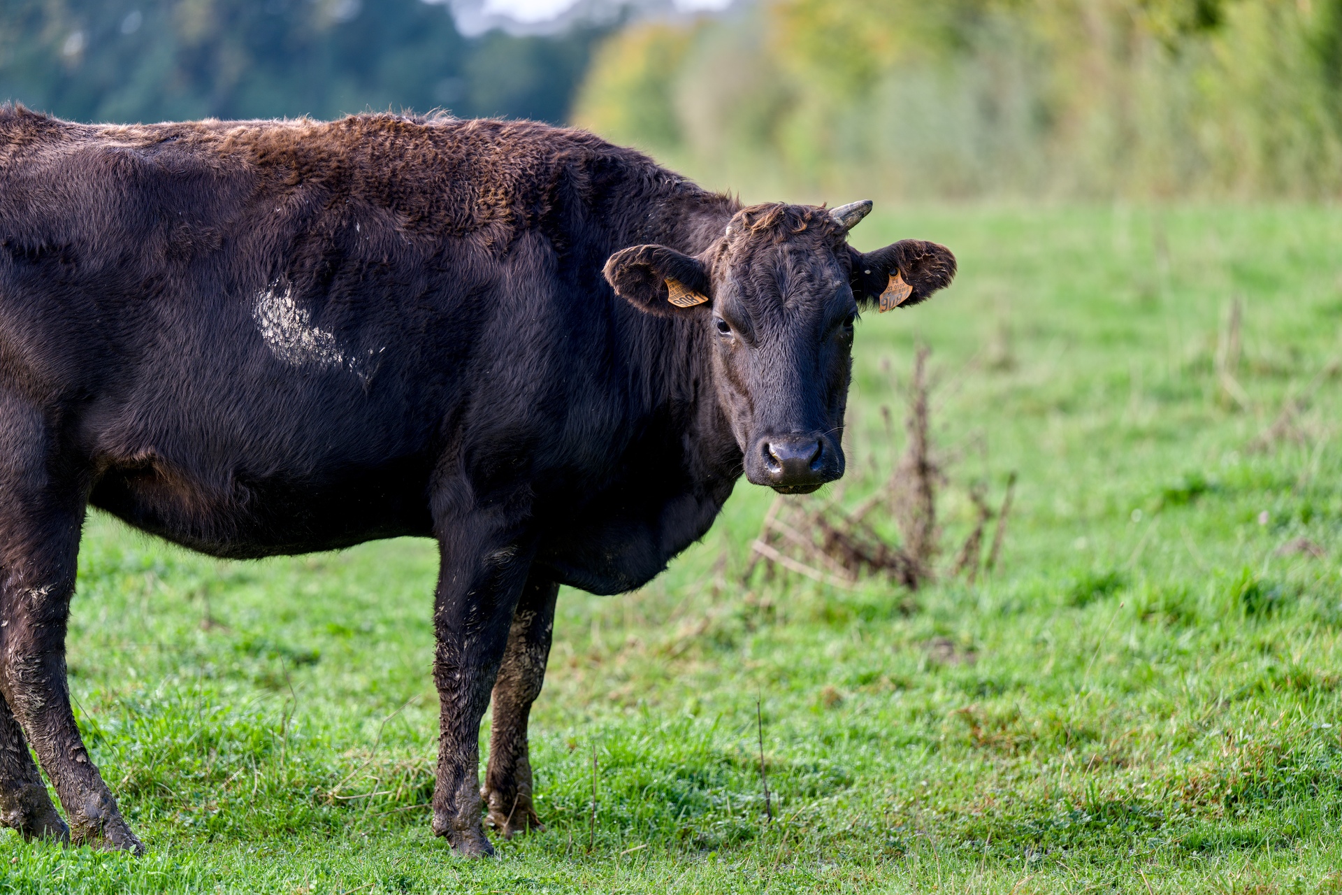 19-Domaine Sebastien Moreau-10-2024.jpg