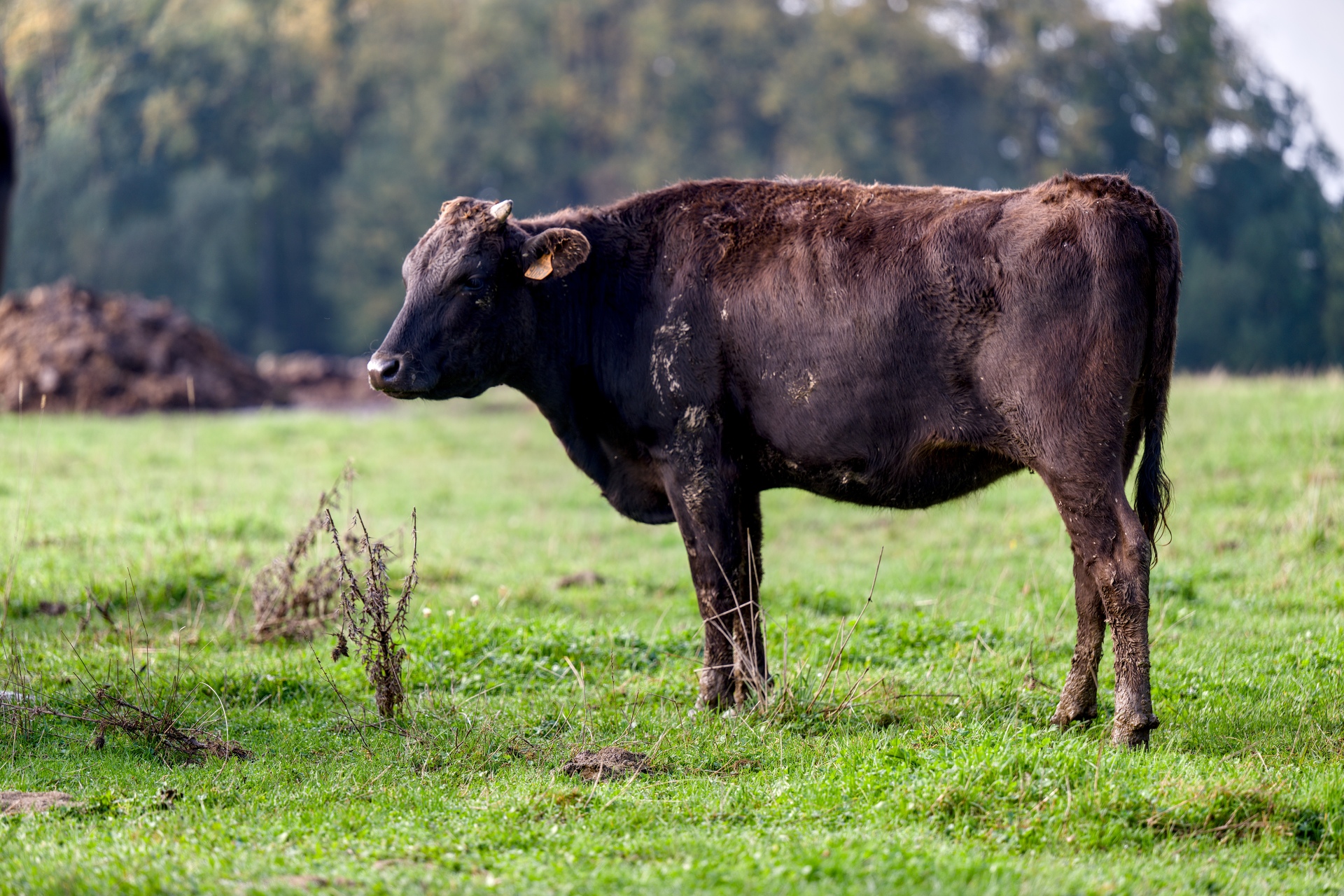 23-Domaine Sebastien Moreau-10-2024.jpg