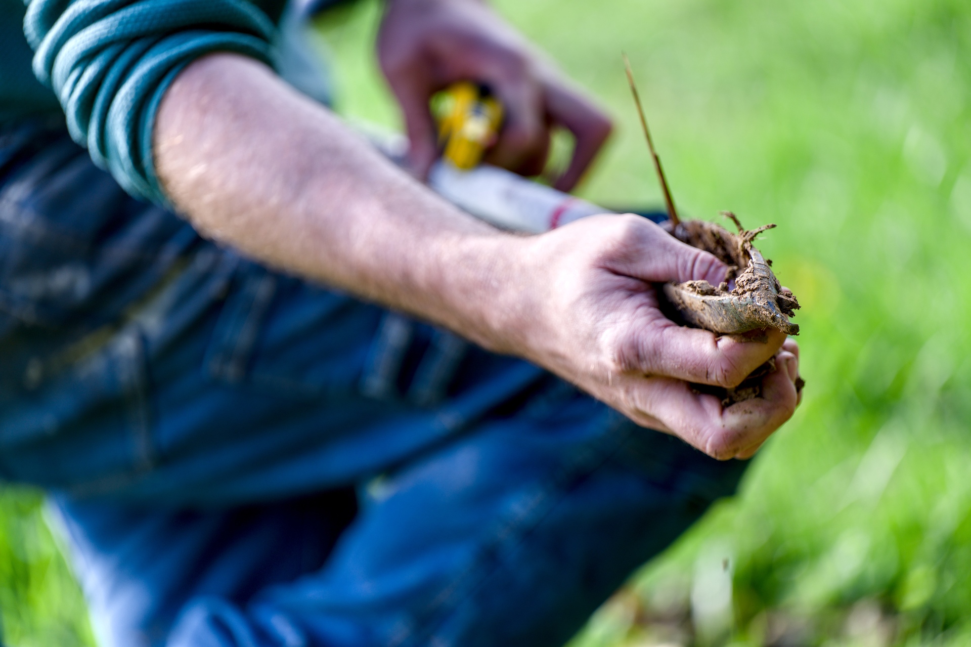 31-Domaine Sebastien Moreau-10-2024.jpg