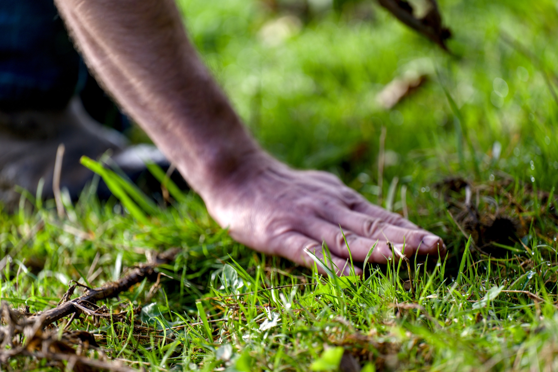 32-Domaine Sebastien Moreau-10-2024.jpg