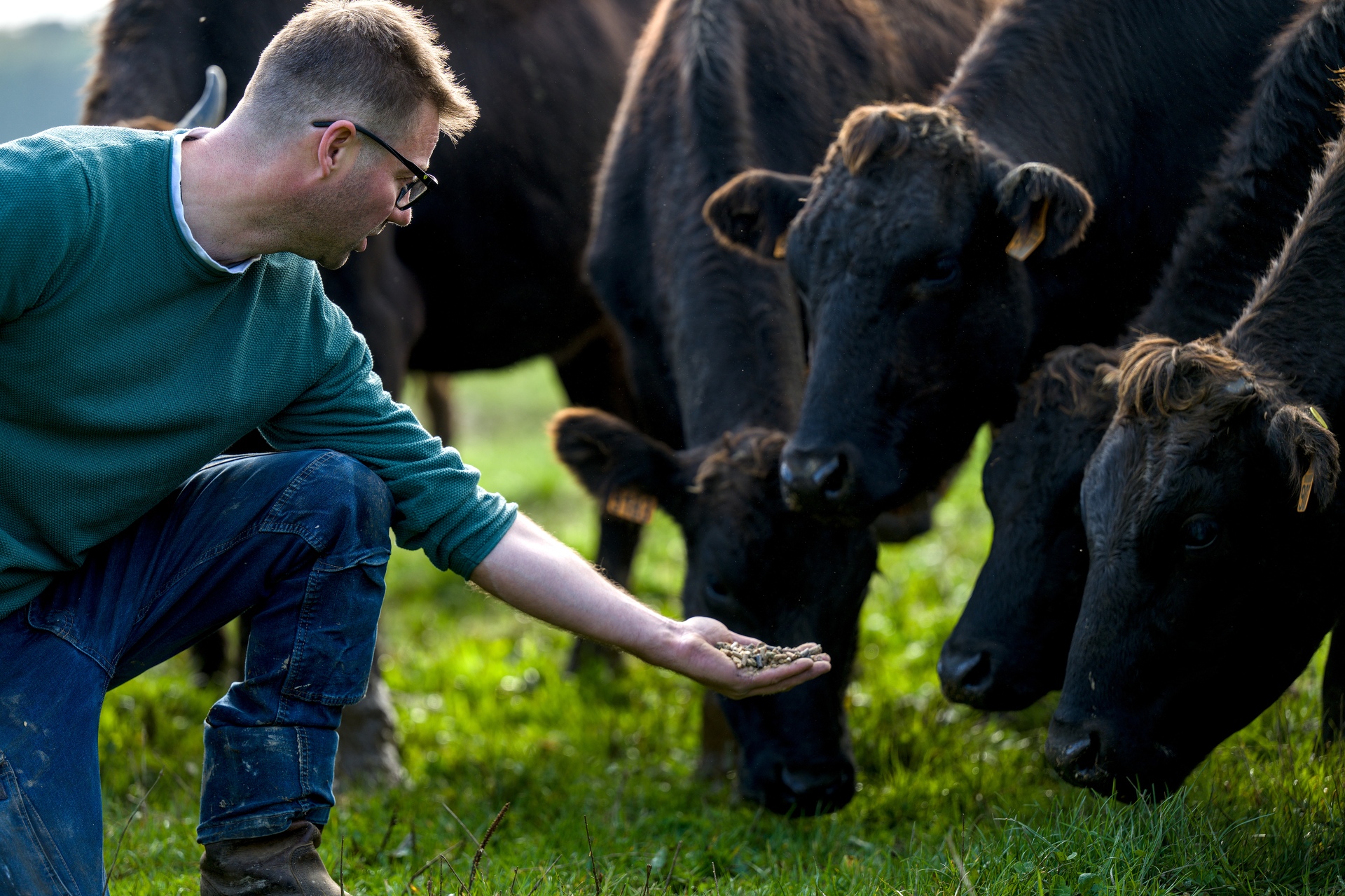 41-Domaine Sebastien Moreau-10-2024.jpg