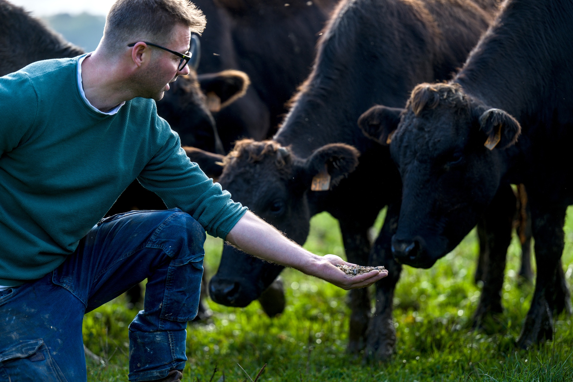 45-Domaine Sebastien Moreau-10-2024.jpg