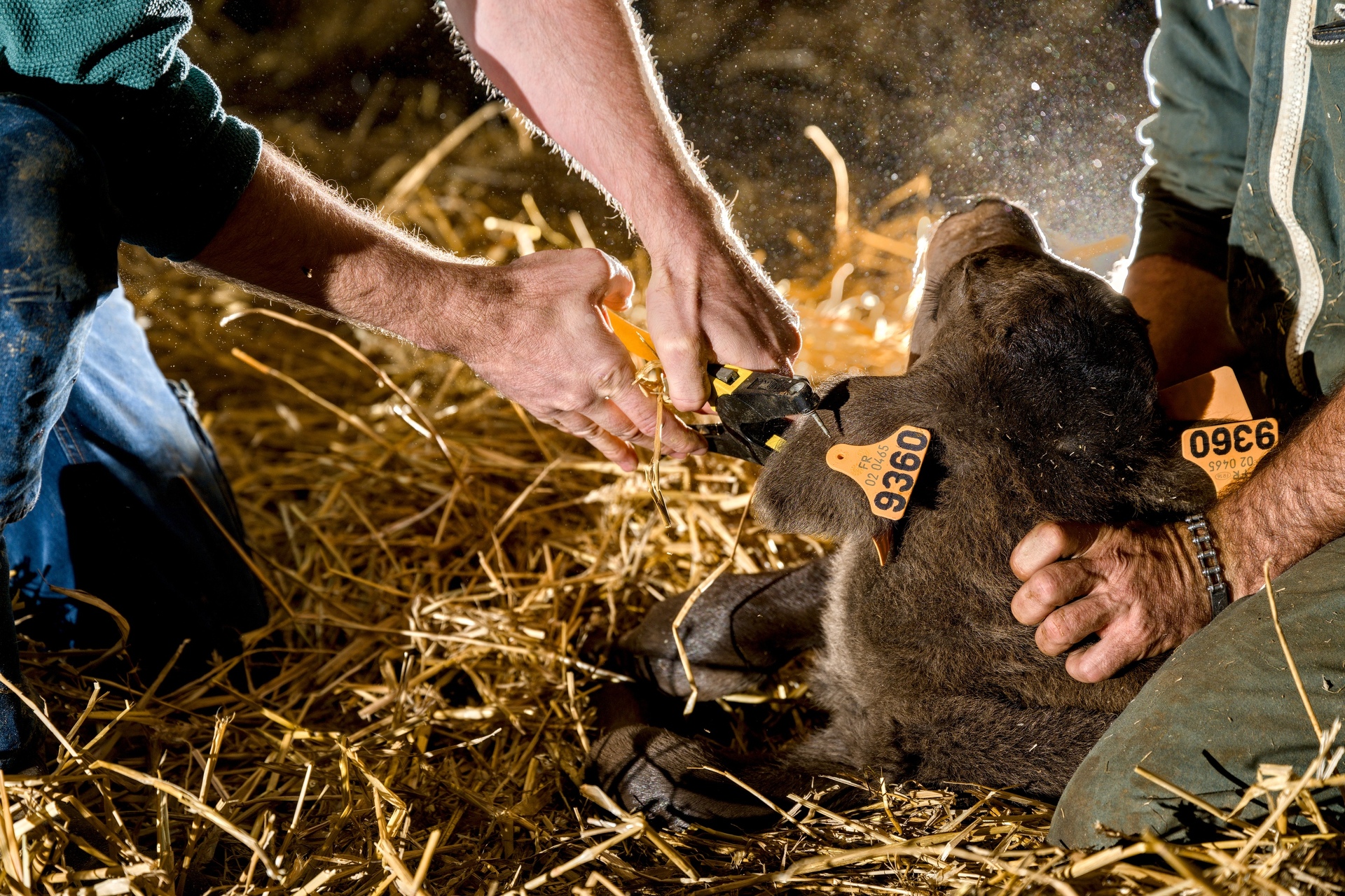 51-Domaine Sebastien Moreau-10-2024.jpg