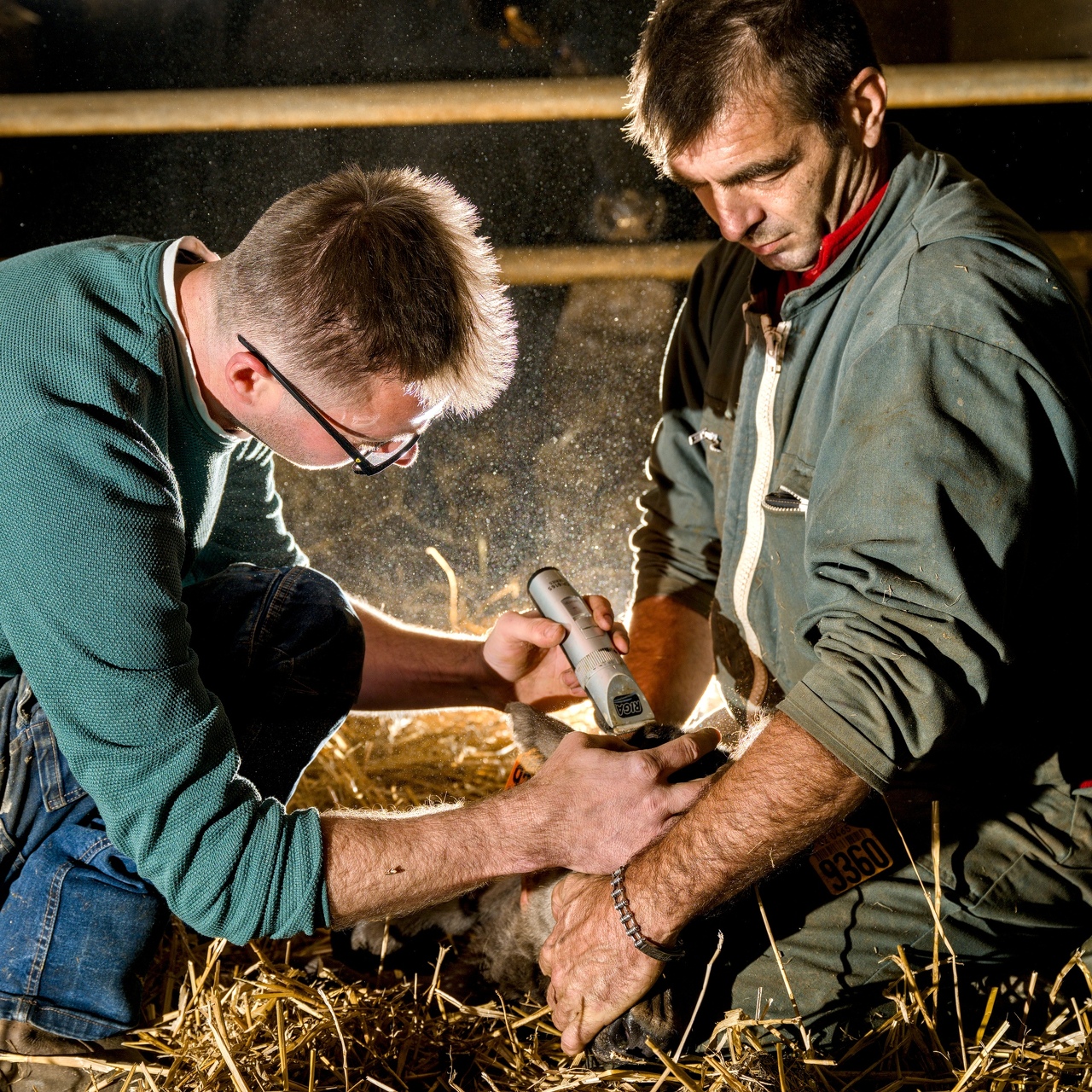 53-Domaine Sebastien Moreau-10-2024.jpg