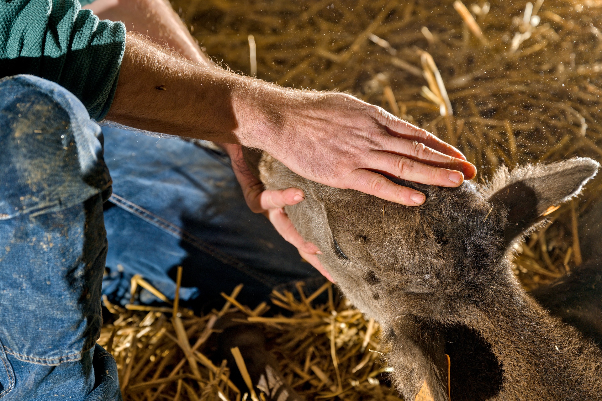 58-Domaine Sebastien Moreau-10-2024.jpg