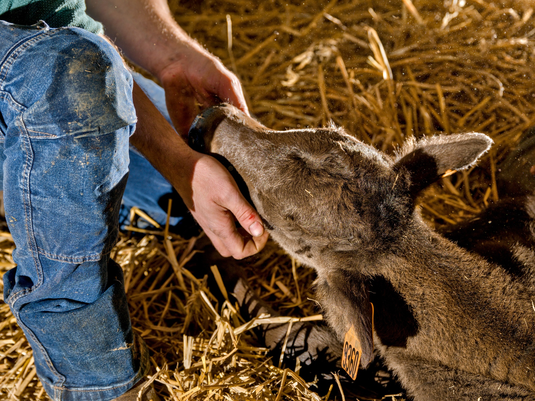59-Domaine Sebastien Moreau-10-2024.jpg
