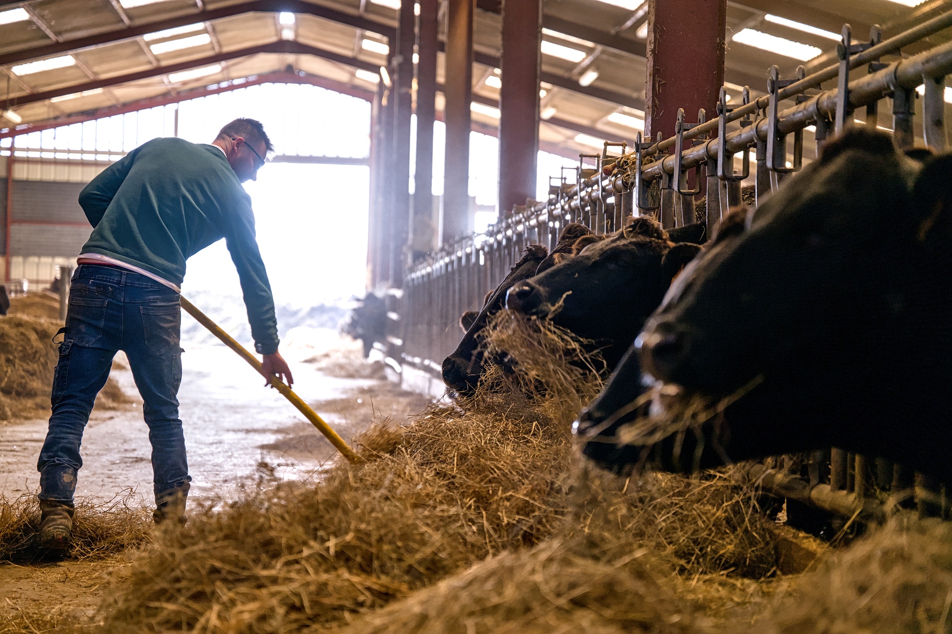 65-Domaine Sebastien Moreau-10-2024.jpg