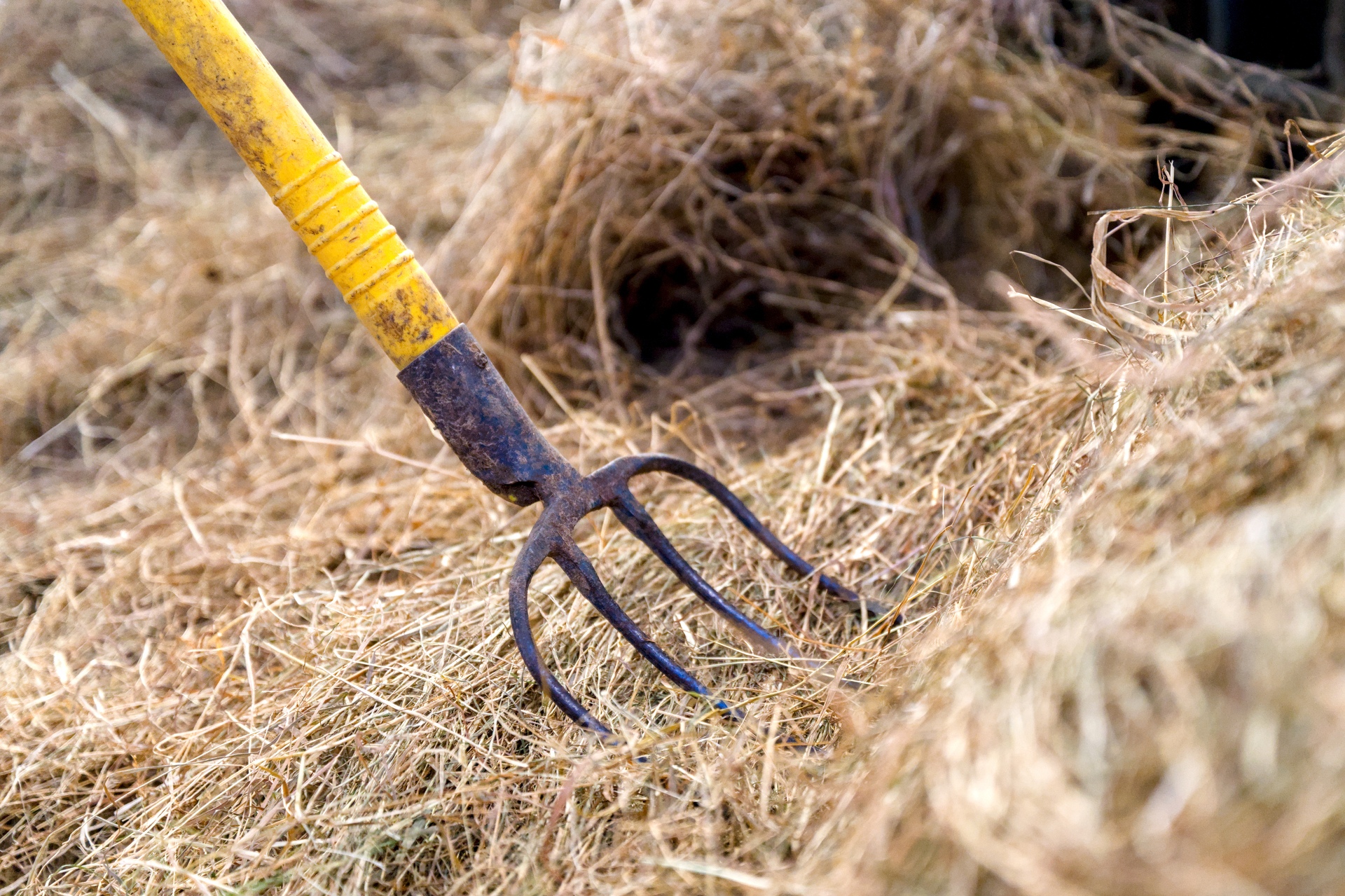 66-Domaine Sebastien Moreau-10-2024.jpg