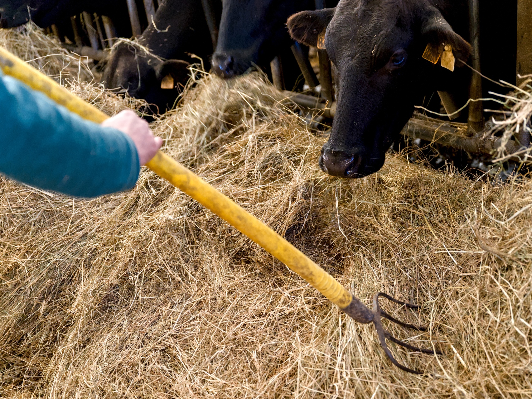 68-Domaine Sebastien Moreau-10-2024.jpg