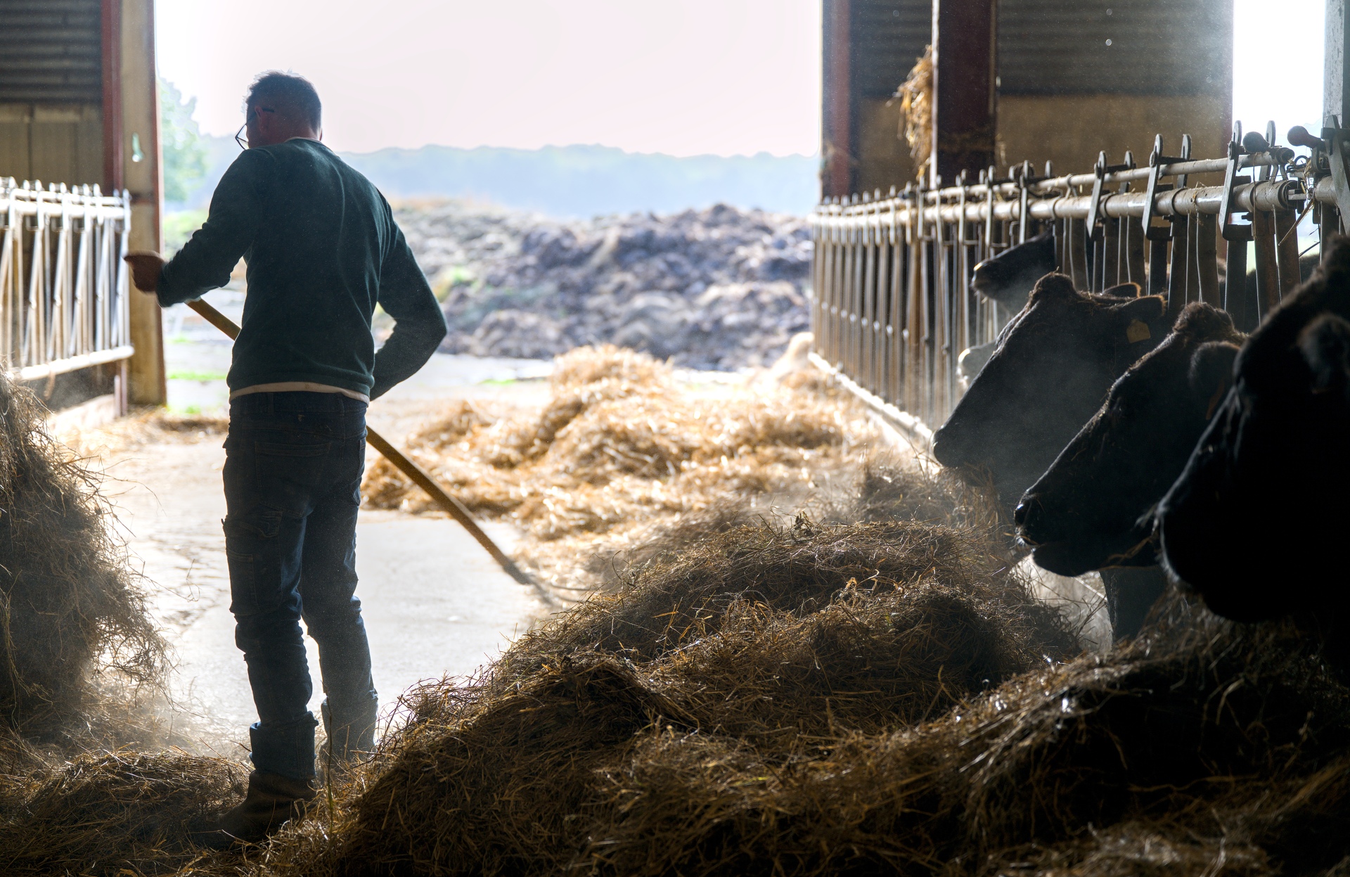 72-Domaine Sebastien Moreau-10-2024.jpg