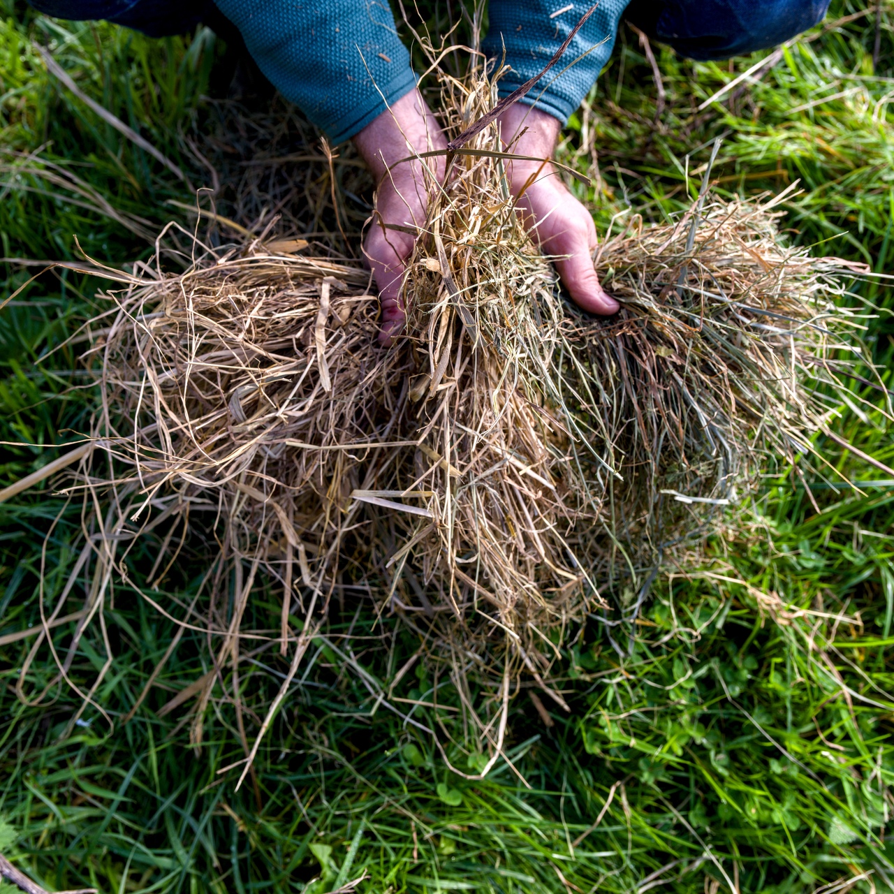 74-Domaine Sebastien Moreau-10-2024.jpg