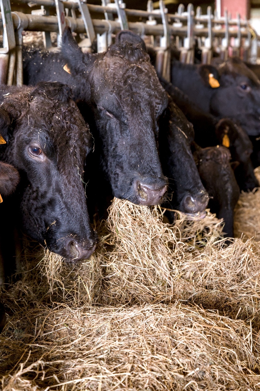 75-Domaine Sebastien Moreau-10-2024.jpg