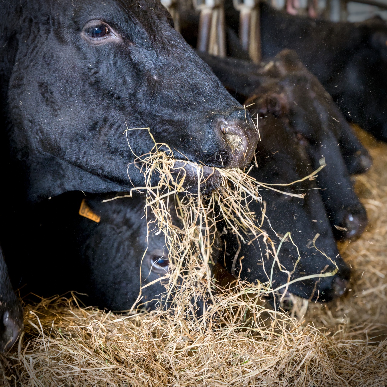 76-Domaine Sebastien Moreau-10-2024.jpg