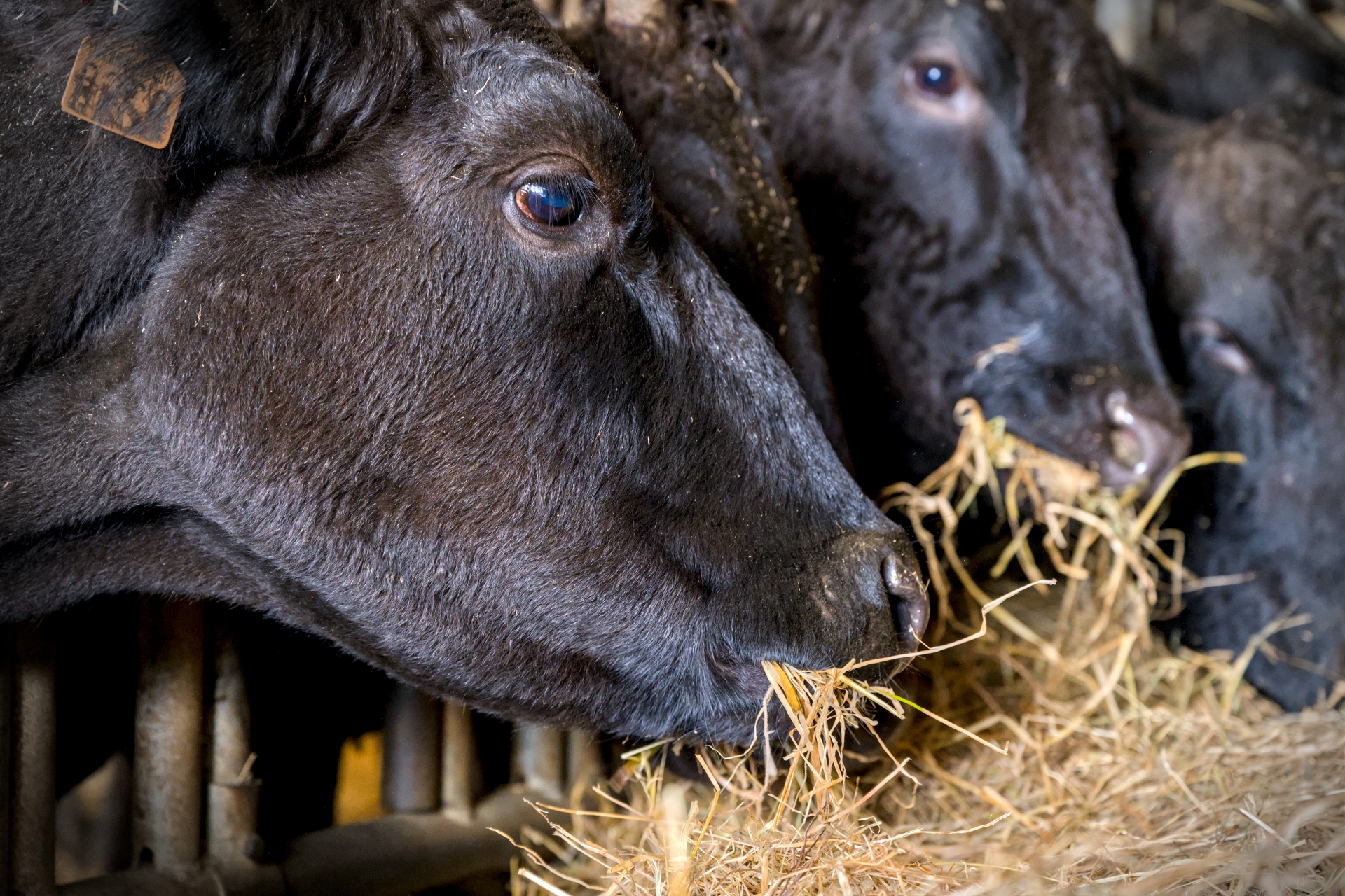 78-Domaine Sebastien Moreau-10-2024.jpg