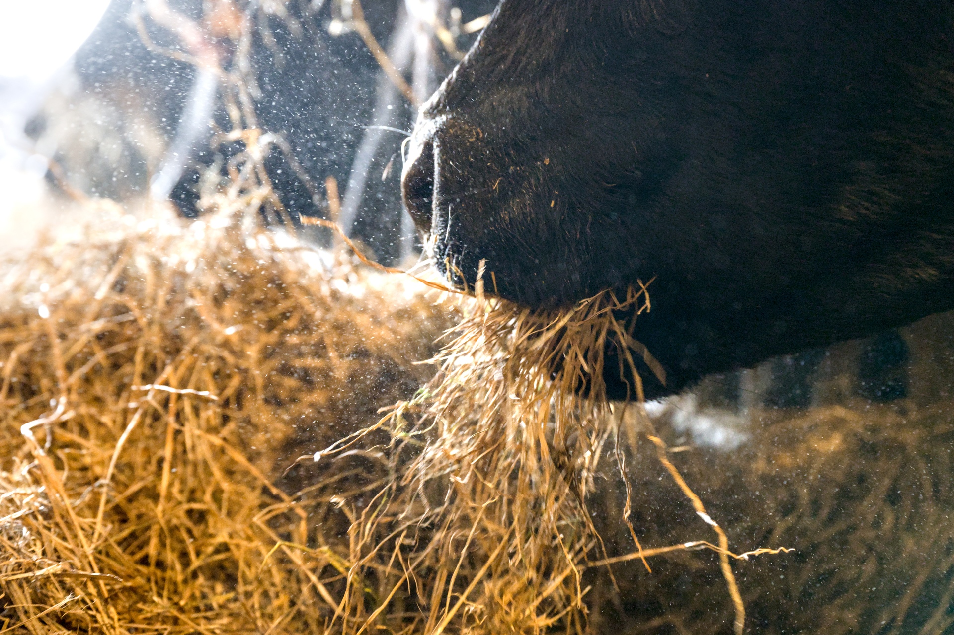 81-Domaine Sebastien Moreau-10-2024.jpg