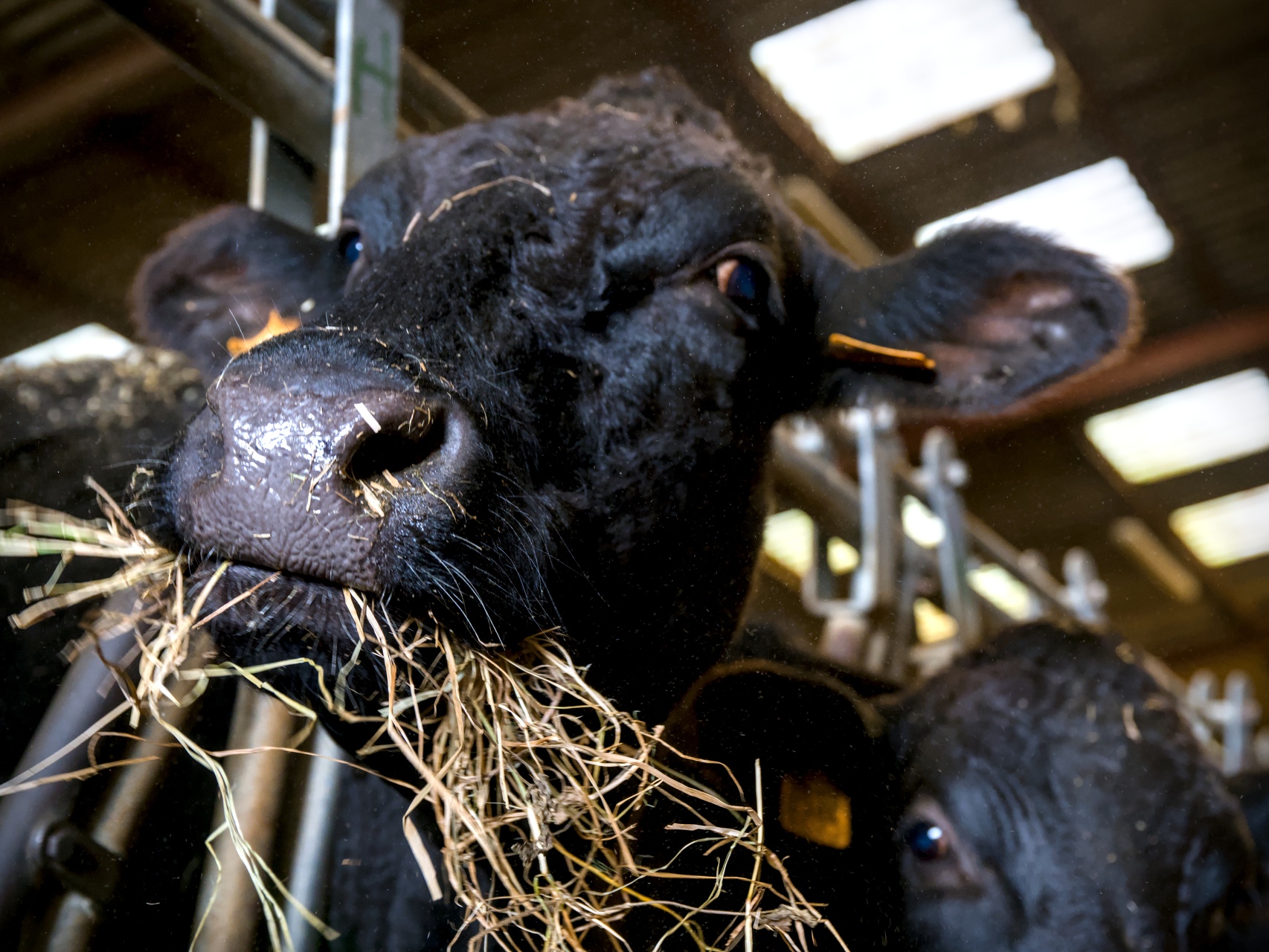 83-Domaine Sebastien Moreau-10-2024.jpg