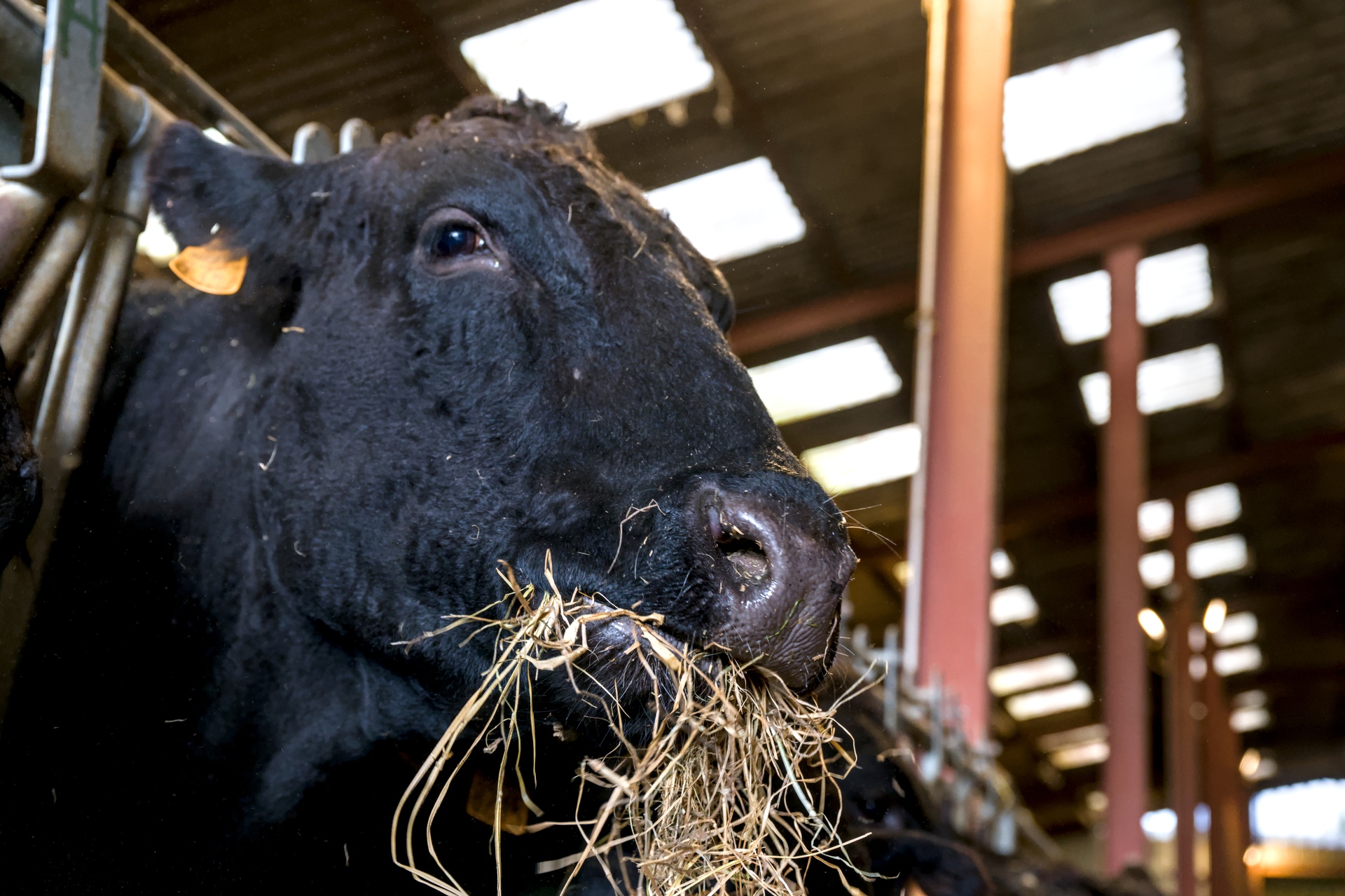 84-Domaine Sebastien Moreau-10-2024.jpg