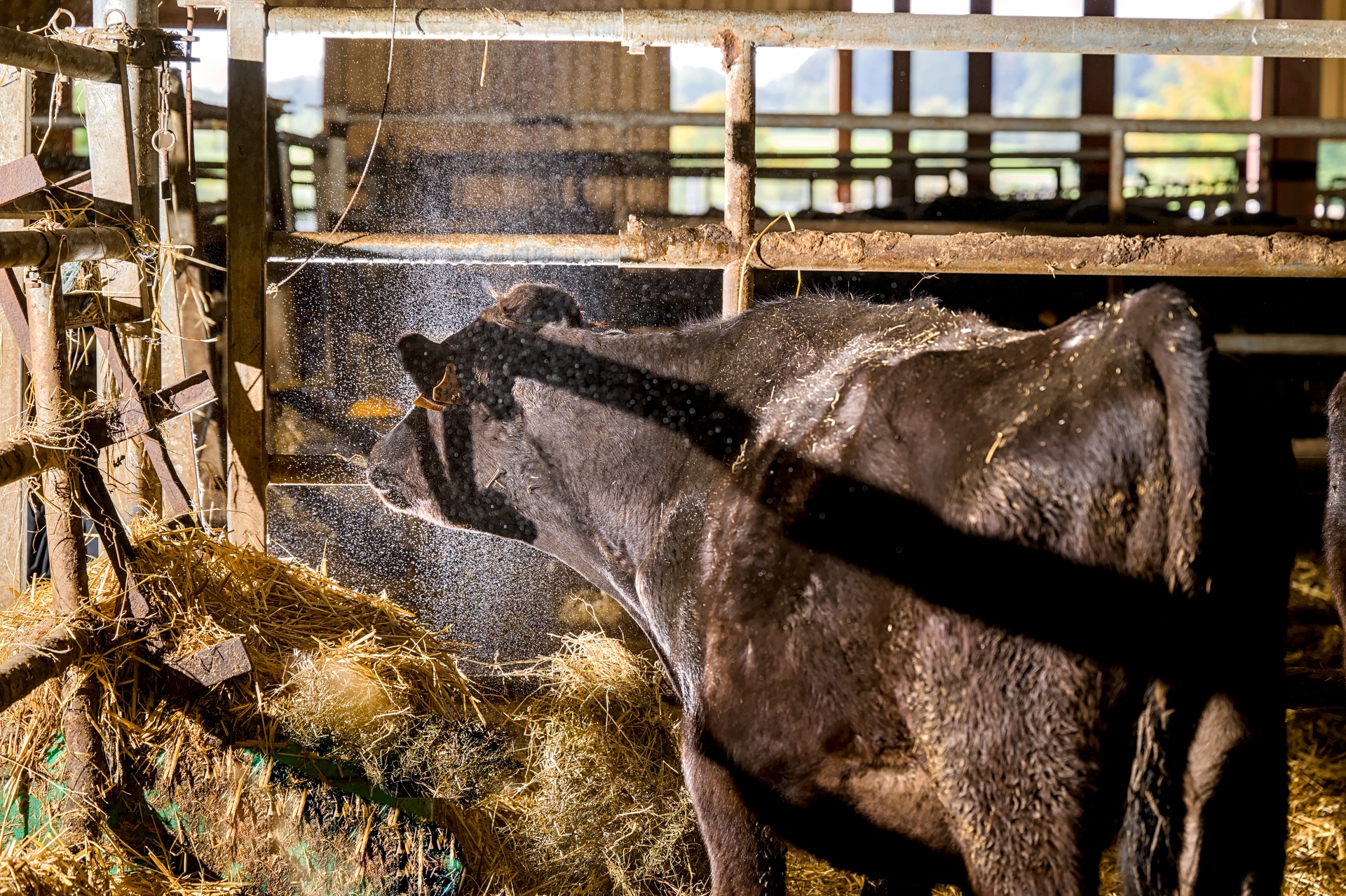 86-Domaine Sebastien Moreau-10-2024.jpg