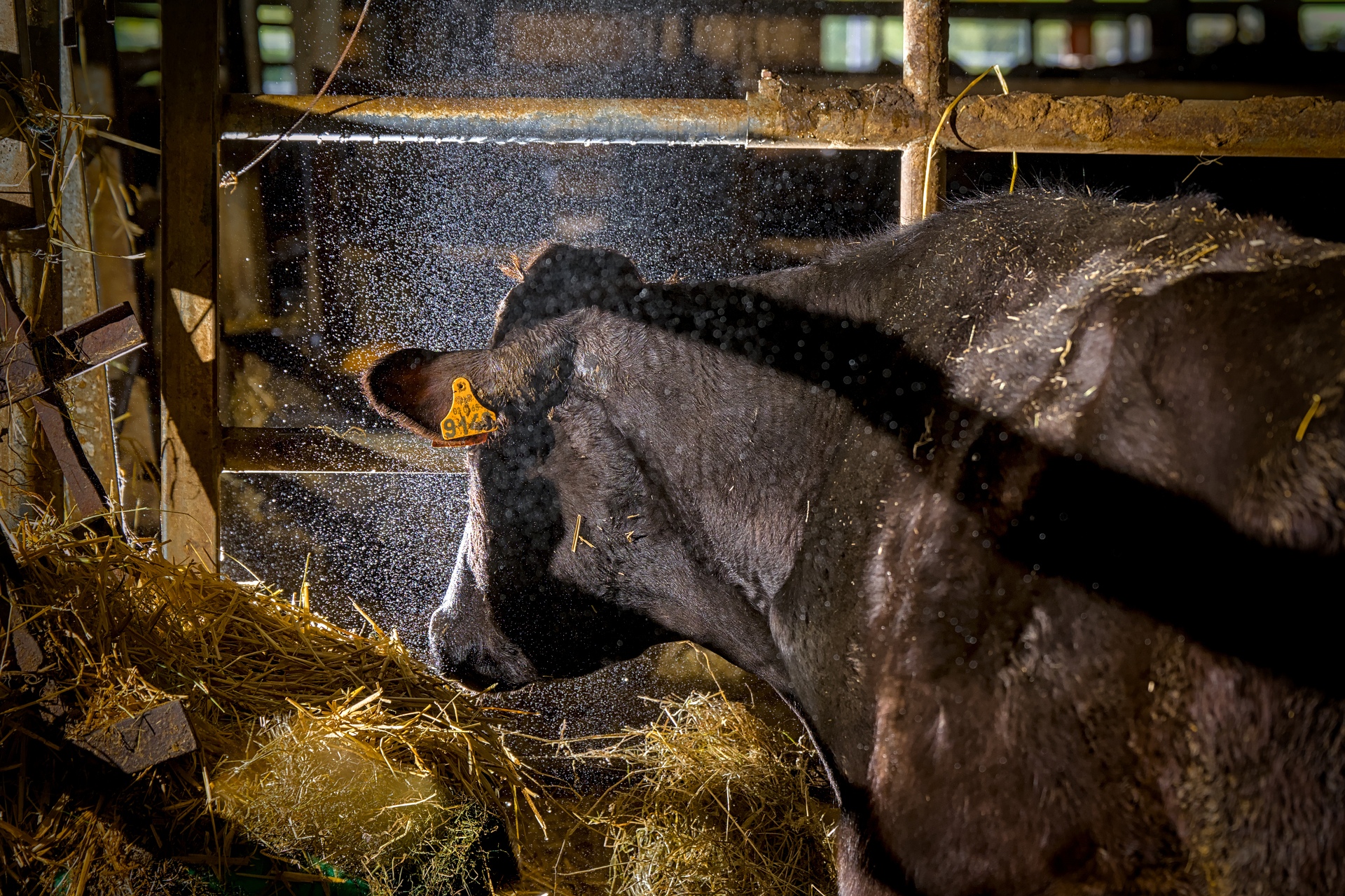 87-Domaine Sebastien Moreau-10-2024.jpg