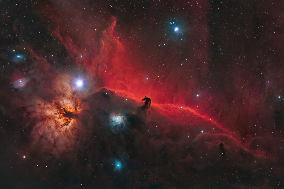 La nébuleuse de la Tête de ChevalDans la constellation d'Orion, à 1600 années-lumière de nous, se trouve une nébuleuse sombre remarquable : la nébuleuse de la Tête de Cheval. Officiellement nommée Barnard 33, elle est visible juste en dessous d'Alnitak, l'étoile la plus à l'est de la célèbre ceinture d'Orion. (IC 434 fait référence à la nébuleuse émissive située derrière la Tête de Cheval).Photo réalisée à Hamois (Belgique) Le 24/10/2024Matériel utilisé: Lunette Skywatcher Esprit 120ED à 860mm de focale - appareil photo Nikon Z7 défiltré - Monture équatoriale Skywatcher Wave 150I -Lunette guide 60/360 apo TS -Camera guide ZWO ASI 290MM/mini - Filtre IDAS LPS-P3 - Gestion du setup Asiair Plus - Logiciels utilisés: Pixinsight -darktable -GIMP sous Linux. 5h de pose en 50 x360s IC434-Nebuleuse-tete-de-cheval-Hamois-24-10-2024-Luc-Viatour.jpg