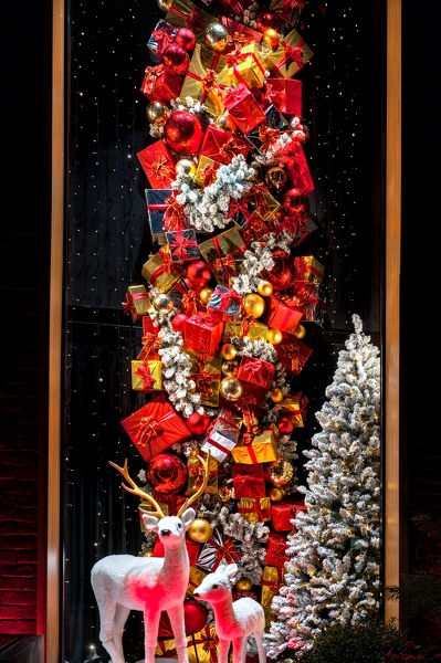 03-CH-Flowers-12-11-2024