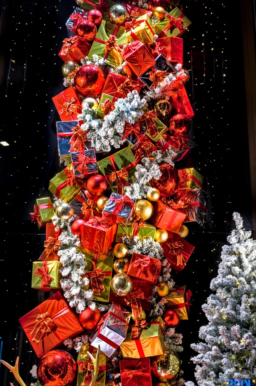 04-CH-Flowers-12-11-2024 - 04-CH-Flowers-12-11-2024.jpg 04-CH-Flowers-12-11-2024.jpg