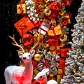 05-CH-Flowers-12-11-2024