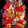 06-CH-Flowers-12-11-2024