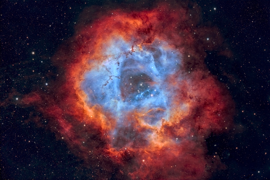 NGC2244-Rosette-Hamois-01-12-2024