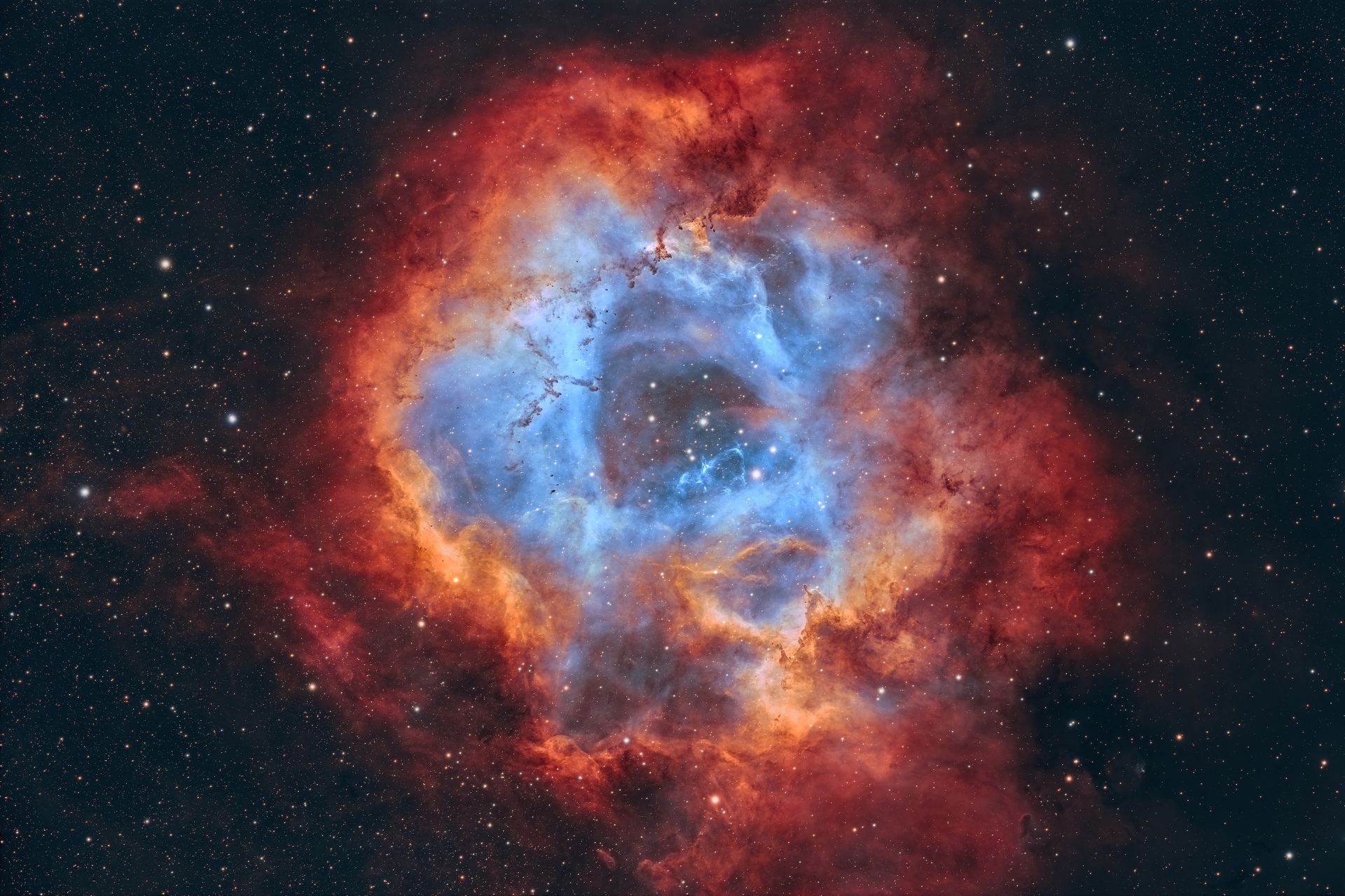 La nébuleuse de la Rosette, également connue sous le nom de Caldwell 49, est une immense région d'hydrogène ionisé (HII) située à environ 4 700 années-lumière de la Terre, dans la constellation de la Licorne. Elle s'étend sur une distance impressionnante de 130 années-lumière.Cette nébuleuse est un véritable berceau d'étoiles, où de nouvelles étoiles se forment activement. Le rayonnement ultraviolet intense émis par un jeune amas d'étoiles (âgé de seulement 8 millions d'années) situé au cœur de la nébuleuse ionise l'hydrogène environnant, lui donnant sa couleur rouge caractéristique.Photos réalisées à la lunette Skywatcher Esprit 120ED à 860mm de focale sur monture Wave 150I, Nikon Z7 défiltré/refiltré EOS for Astro, filtre LPS-P3 Pose de 7H en 42x 600s Faite à Hamois en Belgique le 01/12/2024 Ciel de qualité Bortle 4.Traitement photo en HOO pour la nébuleuse et RVB pour les étoiles, Logiciels utilisés: Siril/Starnet, darktable, GIMP sous Linux. NGC2244-Rosette-Hamois-01-12-2024.jpg