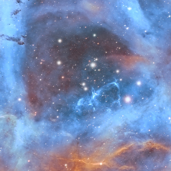 NGC2244-Rosette-Hamois-01-12-2024crop