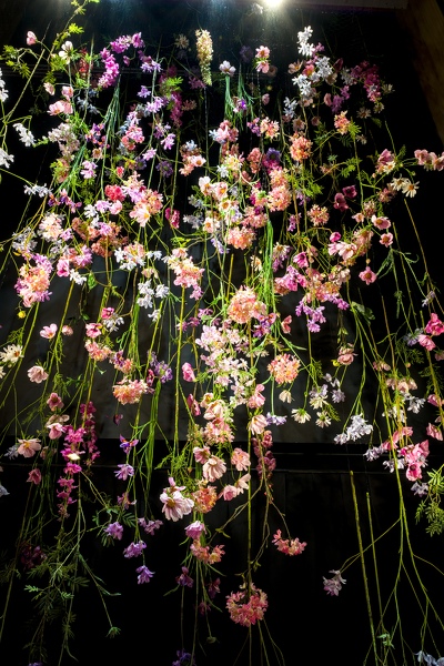 06- CHFlowers-03-2025