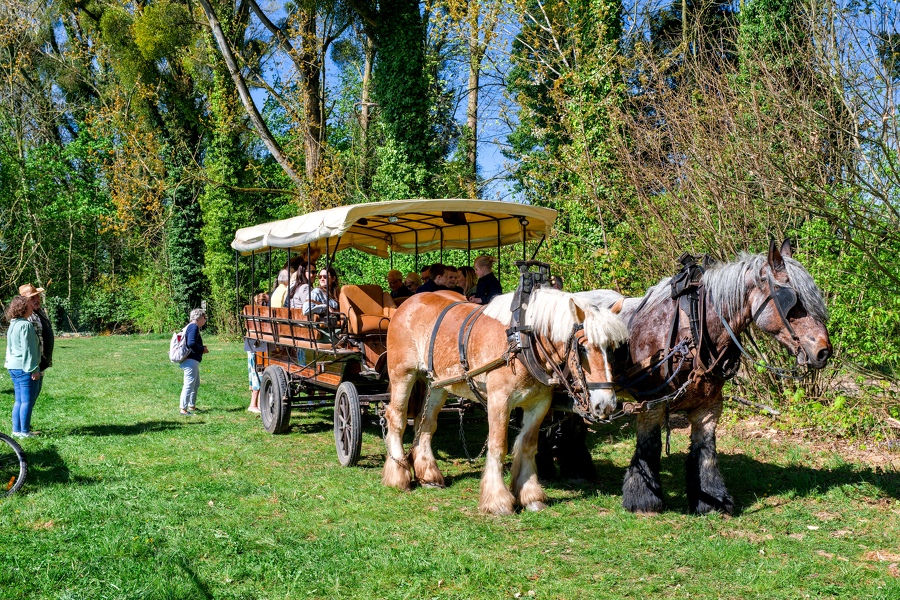 23-foire-du-jardin-Enghien -2025