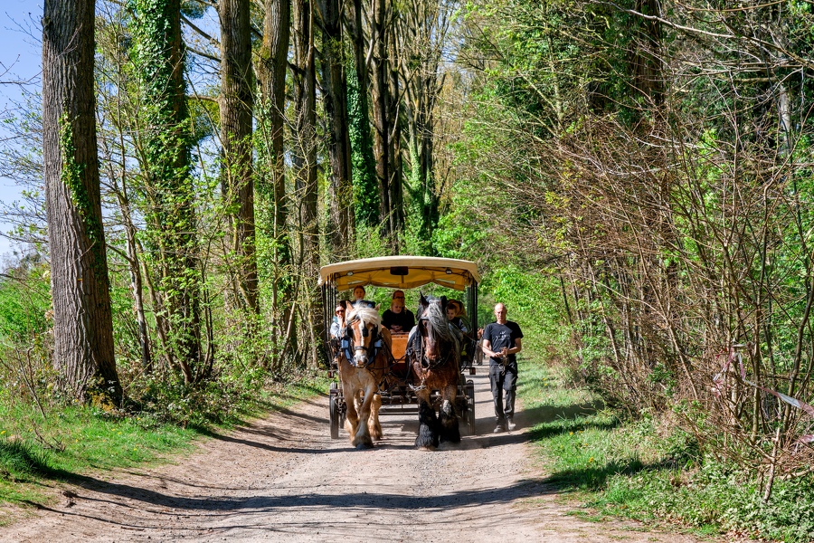 25-foire-du-jardin-Enghien -2025