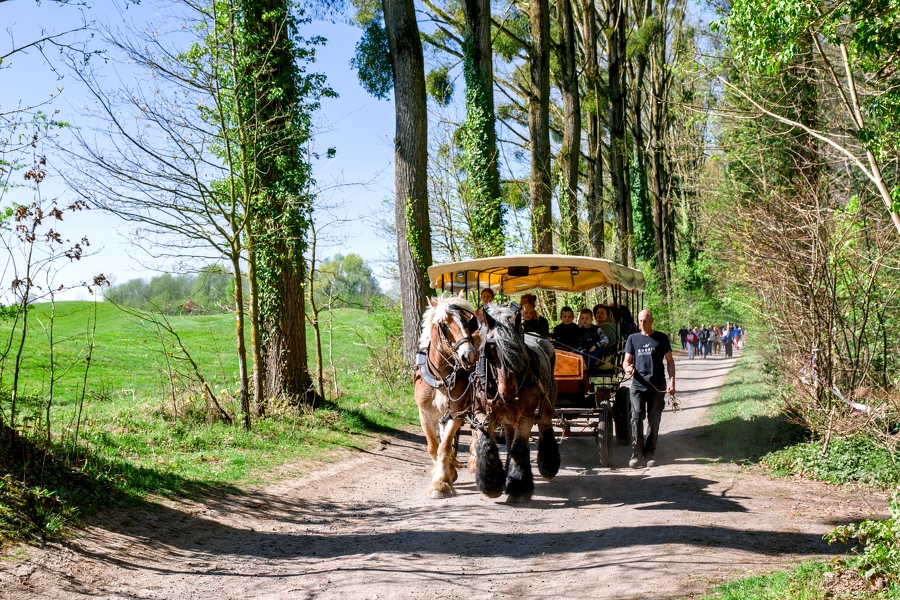 26-foire-du-jardin-Enghien -2025