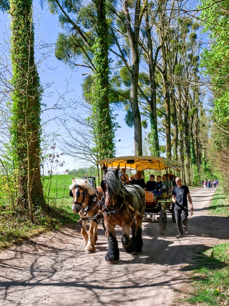 27-foire-du-jardin-Enghien -2025