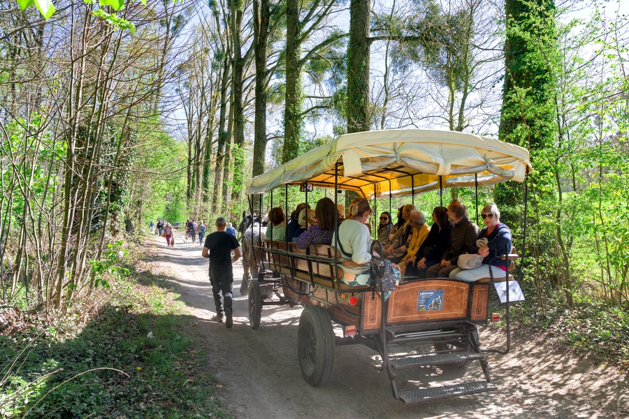 28-foire-du-jardin-Enghien -2025