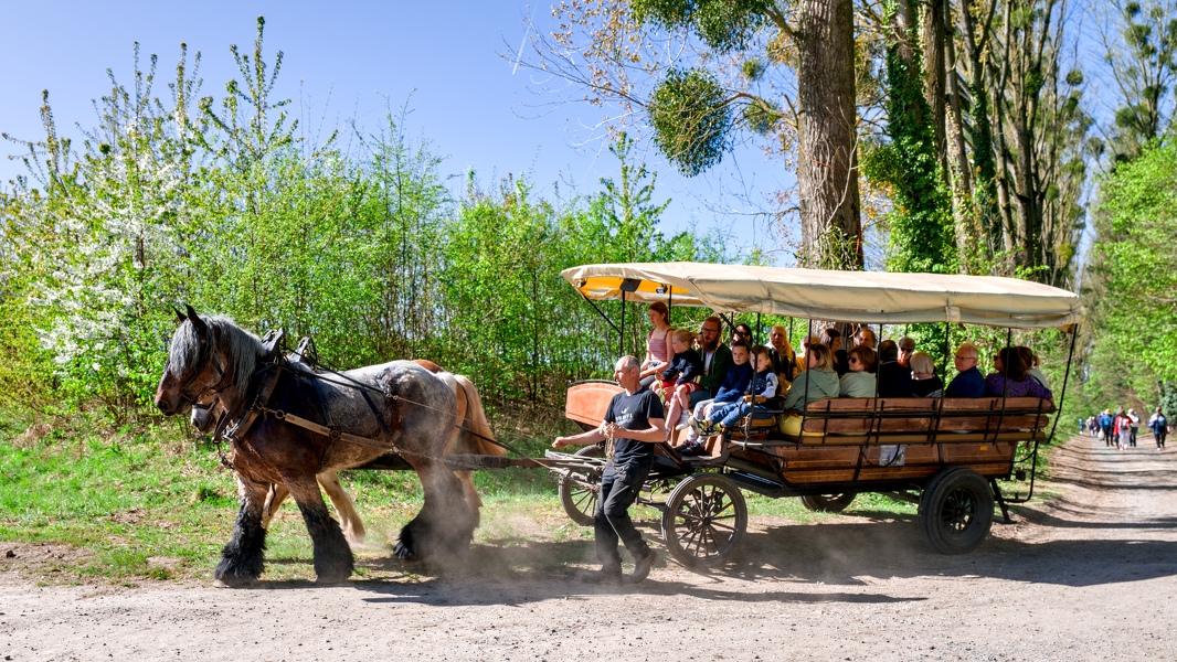 29-foire-du-jardin-Enghien -2025