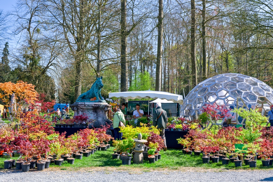 34-foire-du-jardin-Enghien -2025