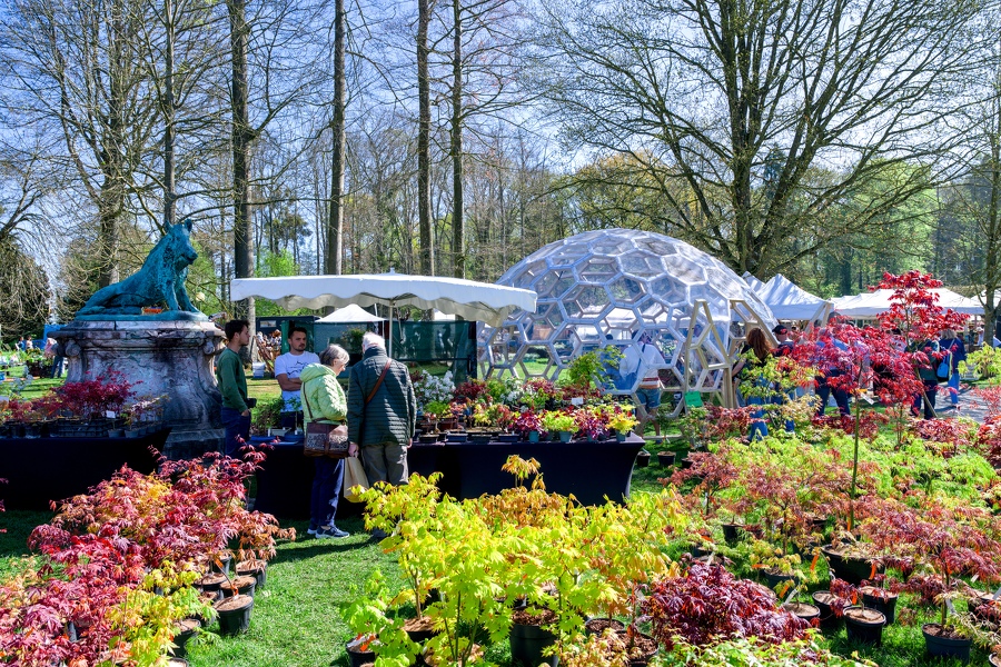 35-foire-du-jardin-Enghien -2025