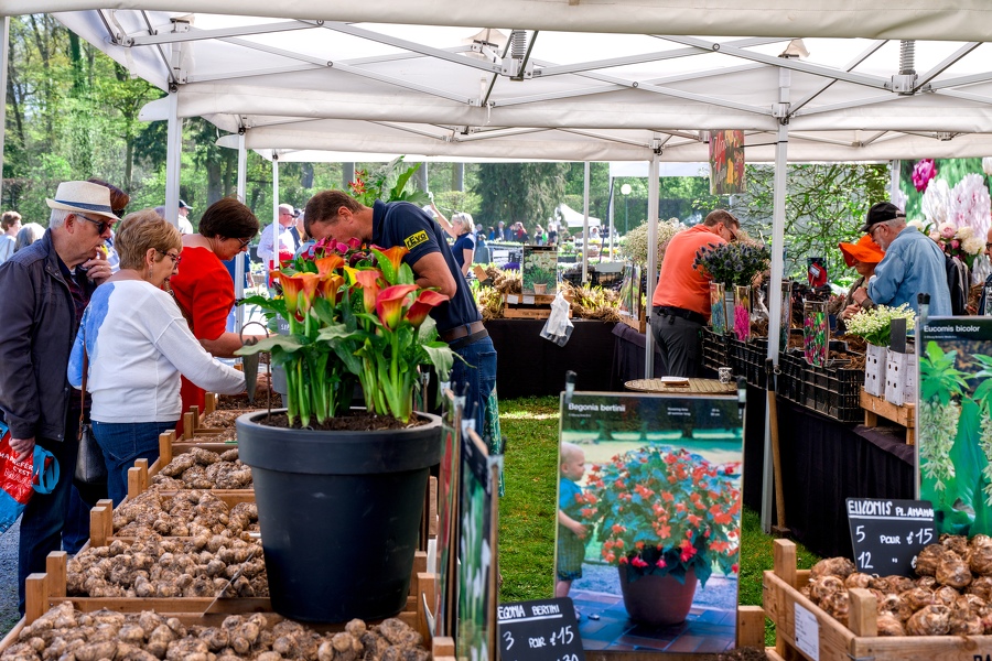 42-foire-du-jardin-Enghien -2025