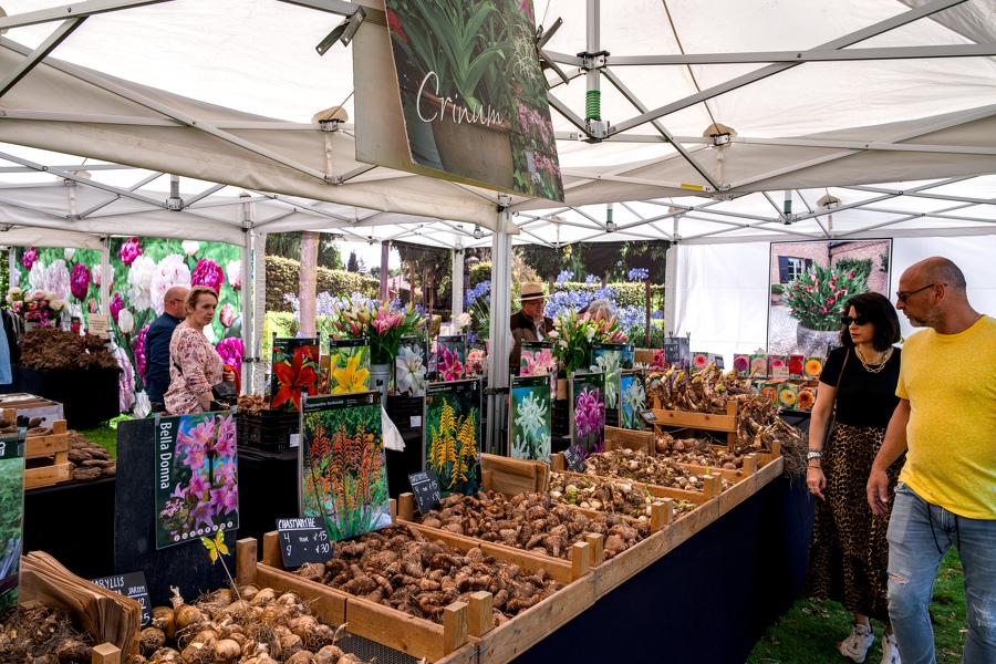 44-foire-du-jardin-Enghien -2025