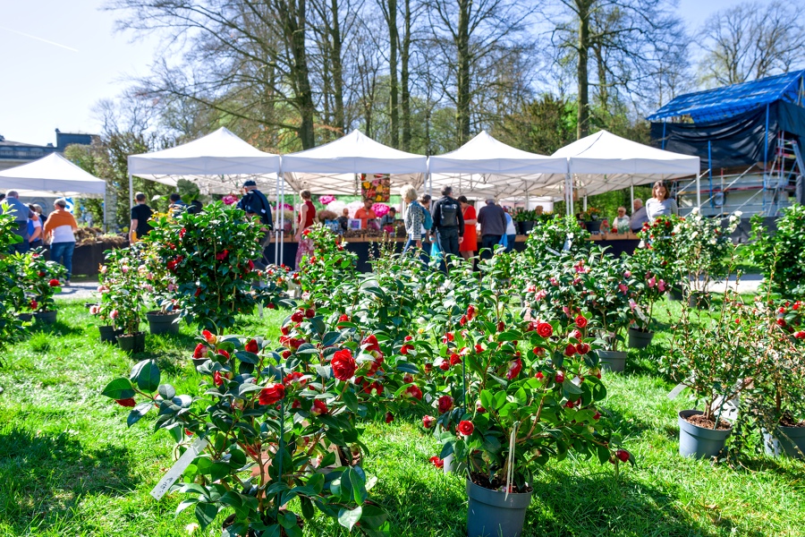 45-foire-du-jardin-Enghien -2025
