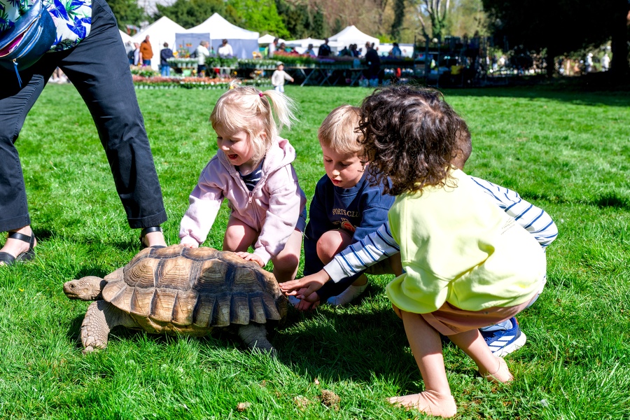 54-foire-du-jardin-Enghien -2025