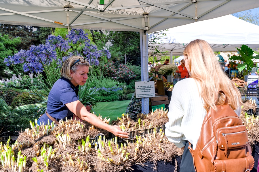 62-foire-du-jardin-Enghien -2025