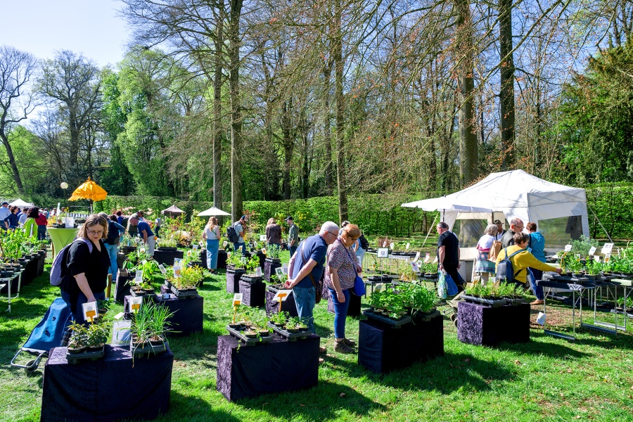 64-foire-du-jardin-Enghien -2025