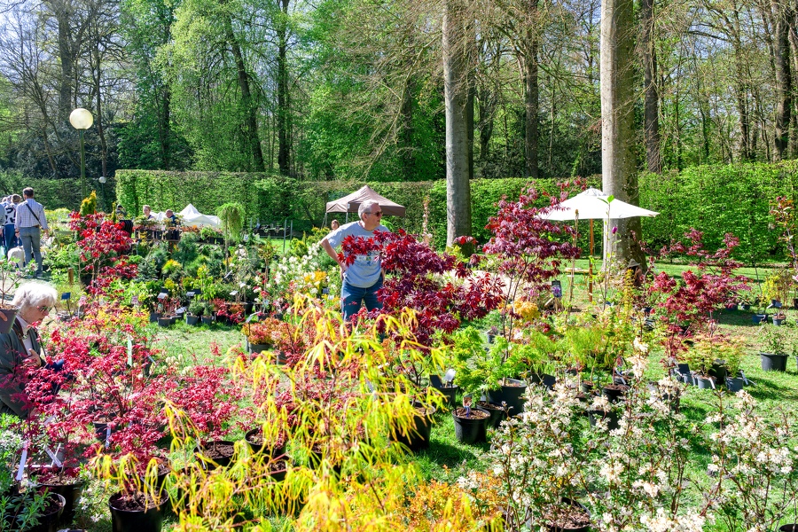 67-foire-du-jardin-Enghien -2025