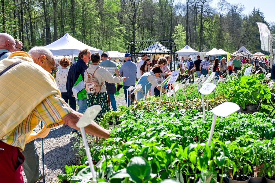 75-foire-du-jardin-Enghien -2025