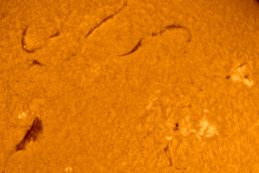 sun-crop-19-04-2025