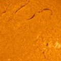 sun-crop-19-04-2025